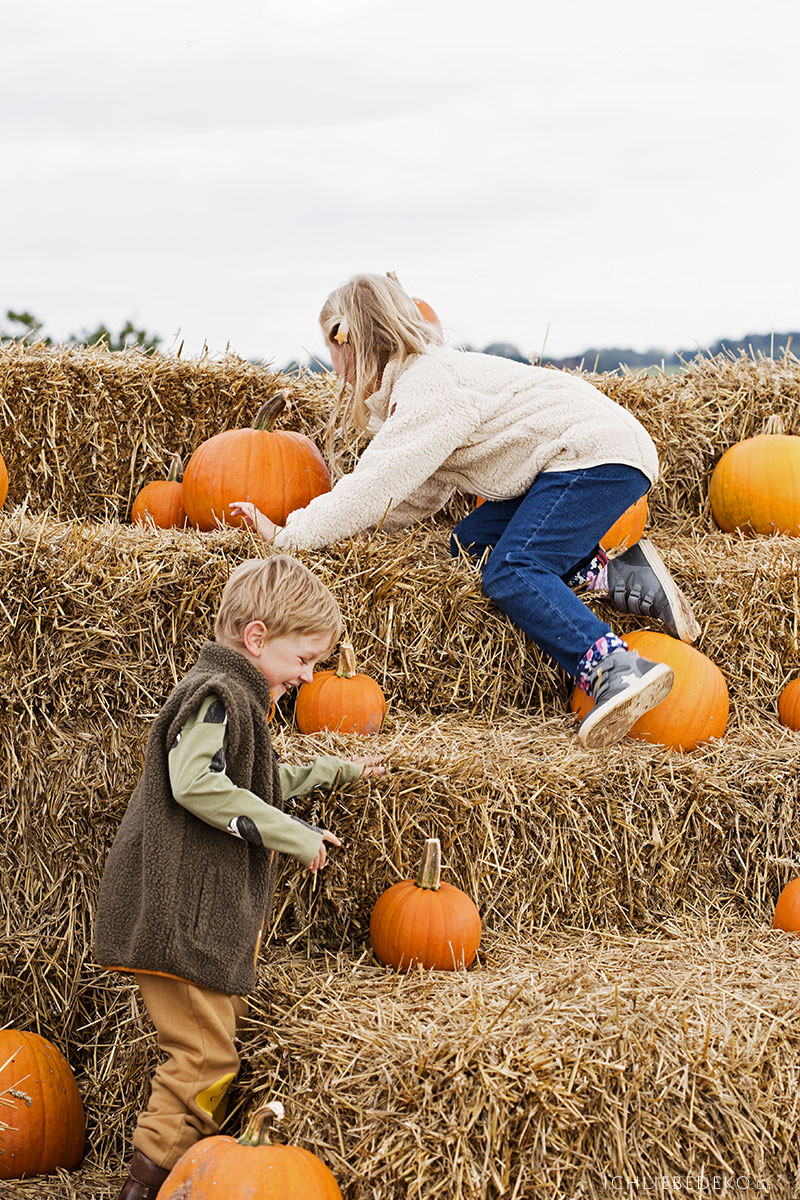 Herbstausflug-mit-kindern