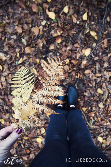 Herbstspaziergang-mit-Hunter-Gummistiefeln