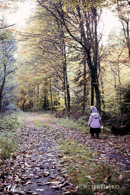 waldspaziergang-mit-kindern