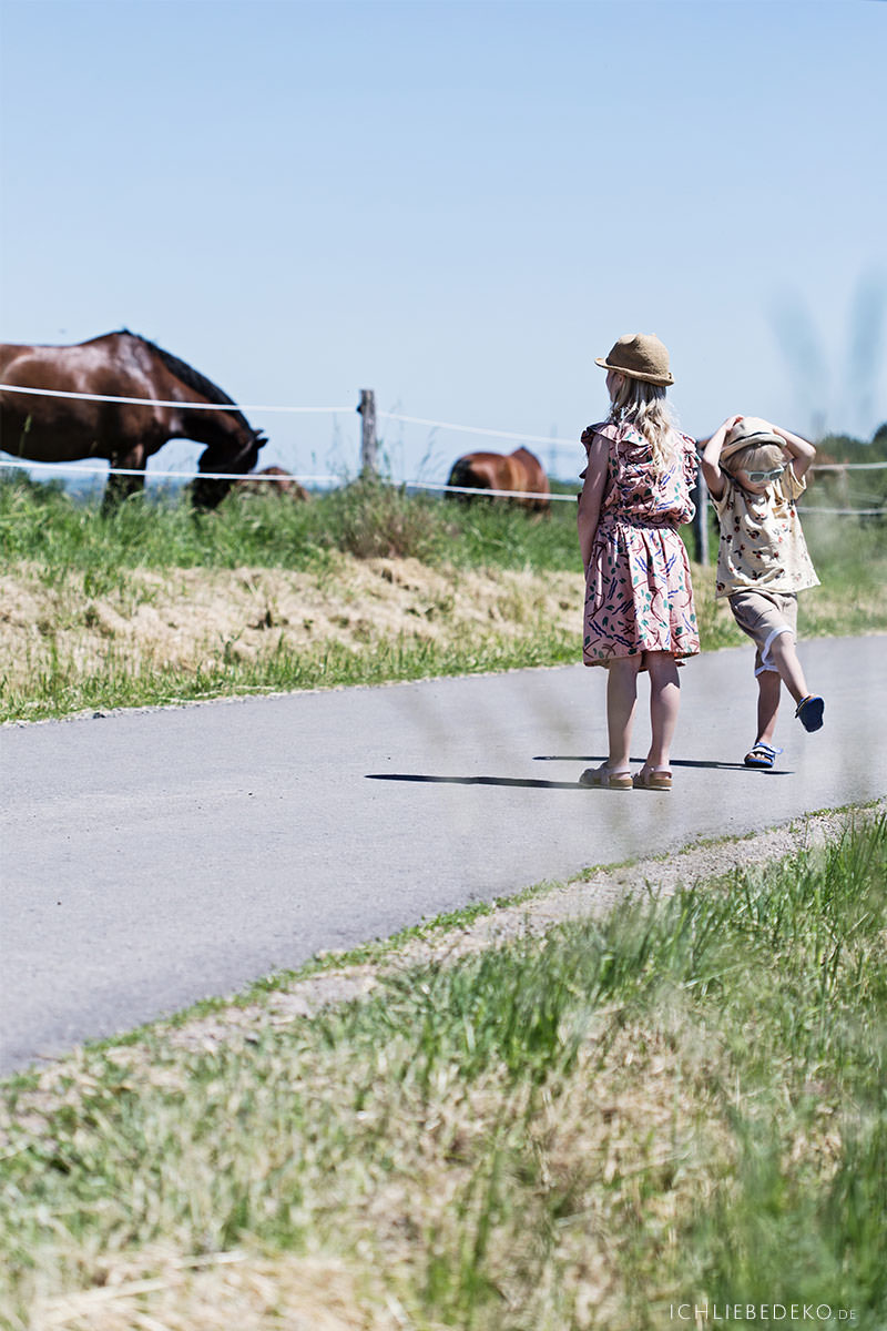 ausflug-mit-kindern-zu-pferden