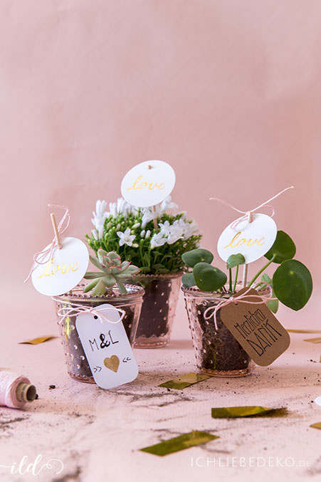 gastgeschenk-hochzeit-mini-sukkulenten-und-pilea