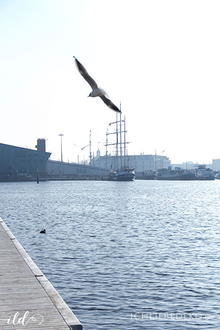 hafen-amsterdam