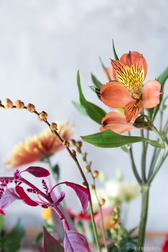 herbstblumen-indian-summer