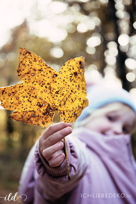 herbstlaub-erkunden-mit-kindern