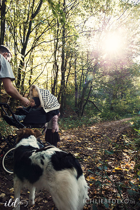 herbstspaziergang-mit-der-familie