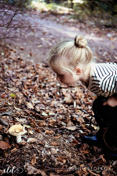 herbstwald-erkunden-mit-kindern