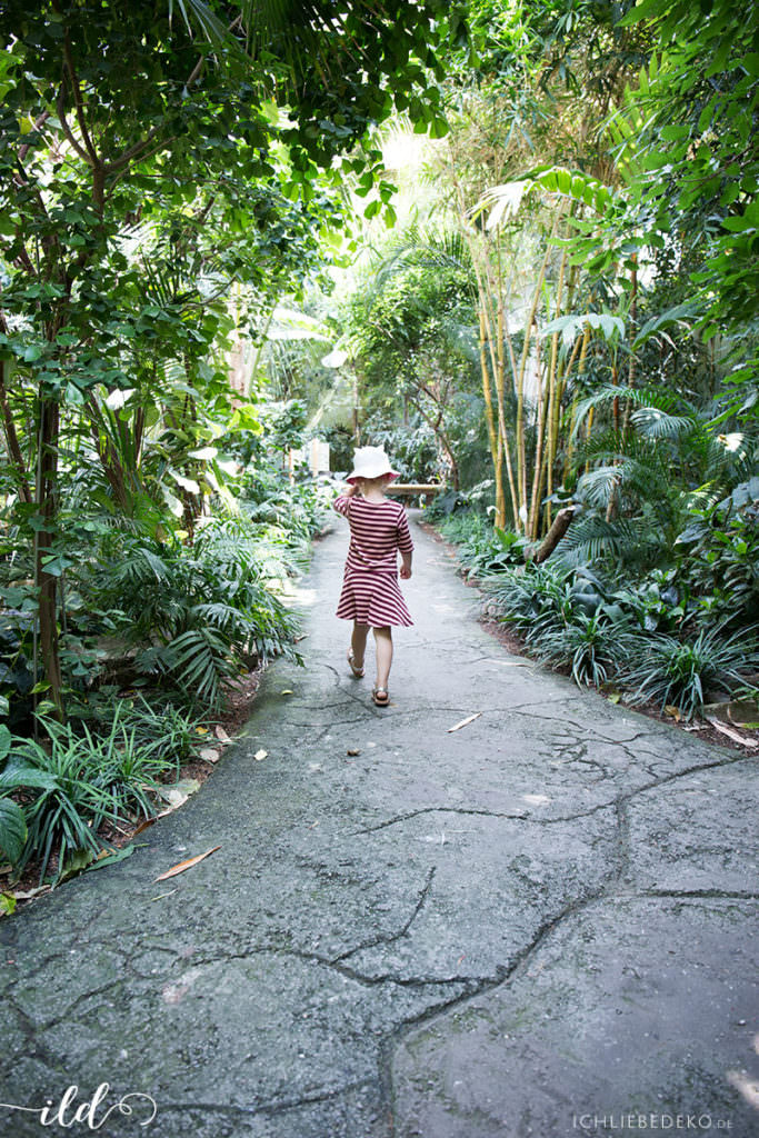 jungle-feeling-vogelhaus-zoo-berlin