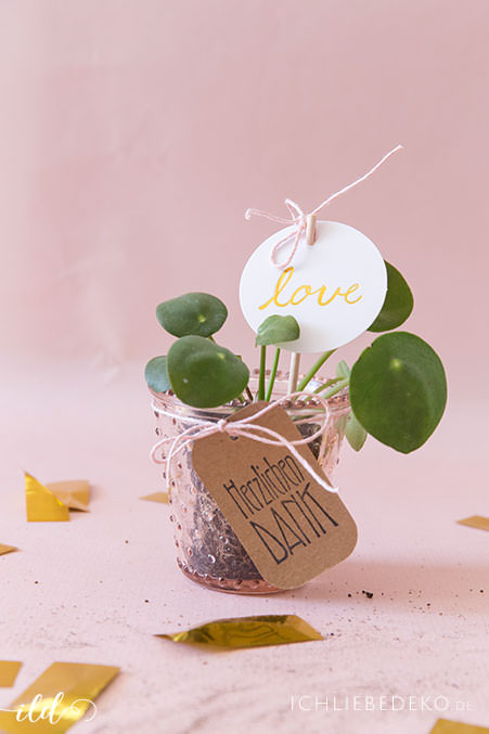 mini-pilea-pflanze-als-gastgeschenk-fuer-hochzeit