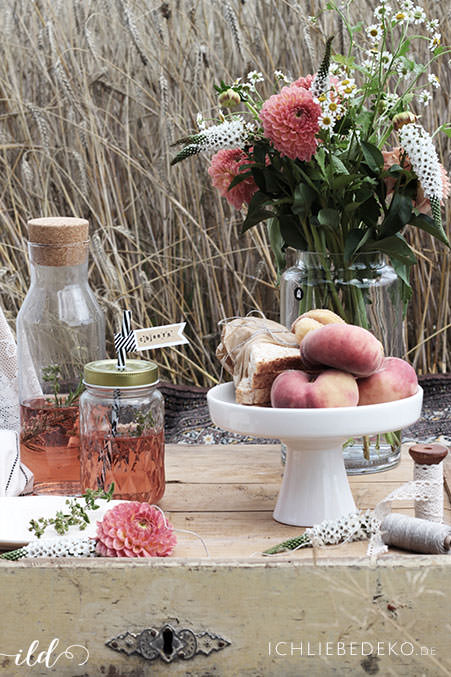 picknick-mit-kalten-getraenken-und-sandwiches