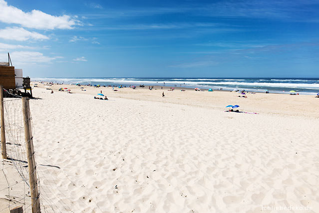 plage-especier-bias-leslandes