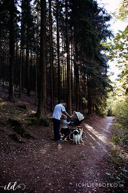 waldspaziergang-mit-der-ganzen-familie