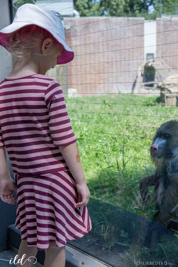 zoobesuch-mit-kindern-in-berlin